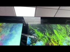 55 Inç Dijital Standee Dış İşaret Kiosku Çift Ekranlı Windows Linux Sistemi