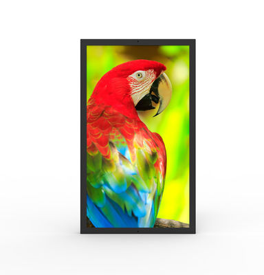 satın al Suya dayanıklı HDMI Ticari Dijital Ekranlar 49 Inch Ultrawide Monitor online manufacture