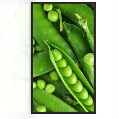 satın al 55 İnç IP67 Su Geçirmez Dış Mekan Dijital Tabela 3000 Nit Parlaklık LCD Reklam Makinesi Çevrimiçi üretim